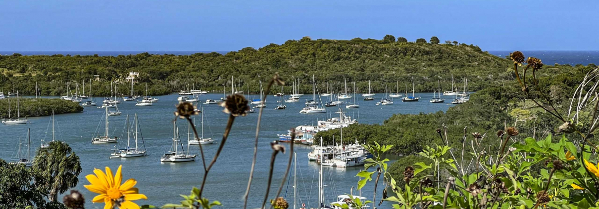 Südblick (Hafen) Südblick (Hafen)